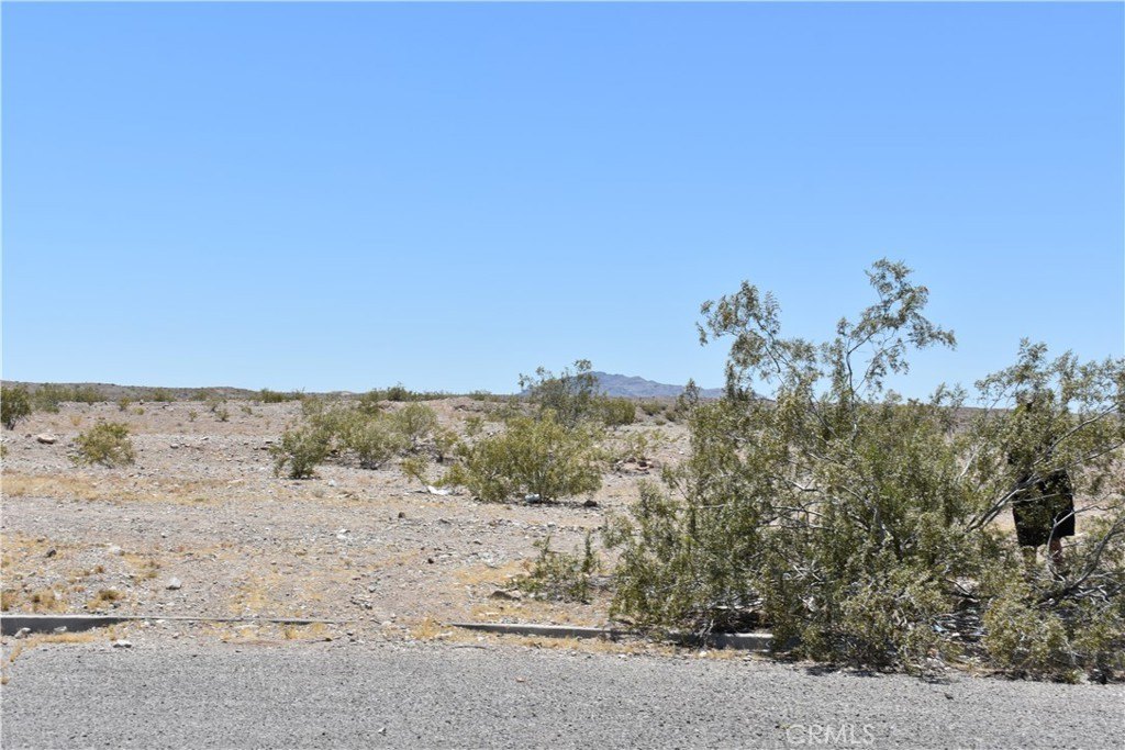 Picture 15