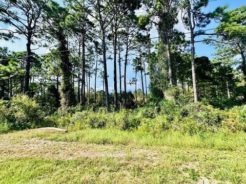 Eastpoint, Florida Land Opportunity