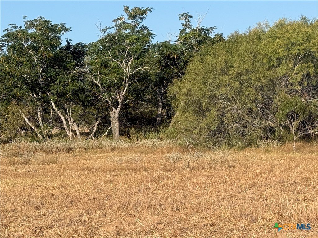 Stockdale, TX Land For Sale
