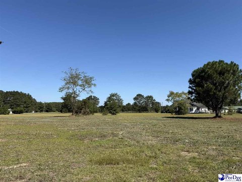 Land, Dillon, SC