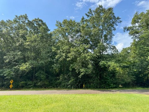 LAND - Pine Mountain, GA