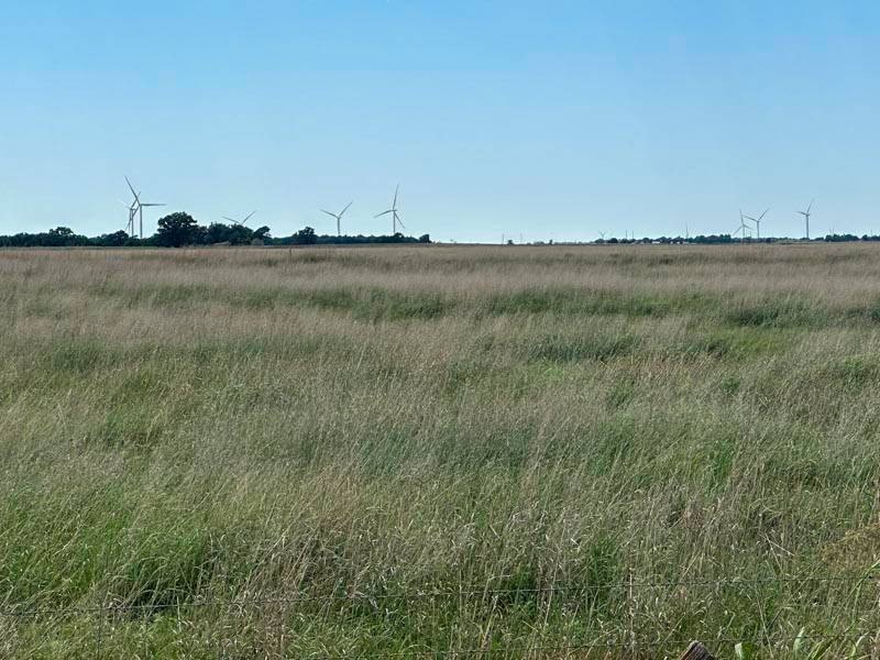 Picture 27