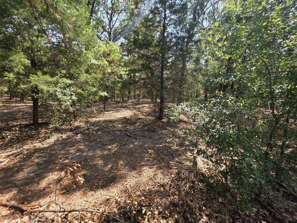 Picture 12