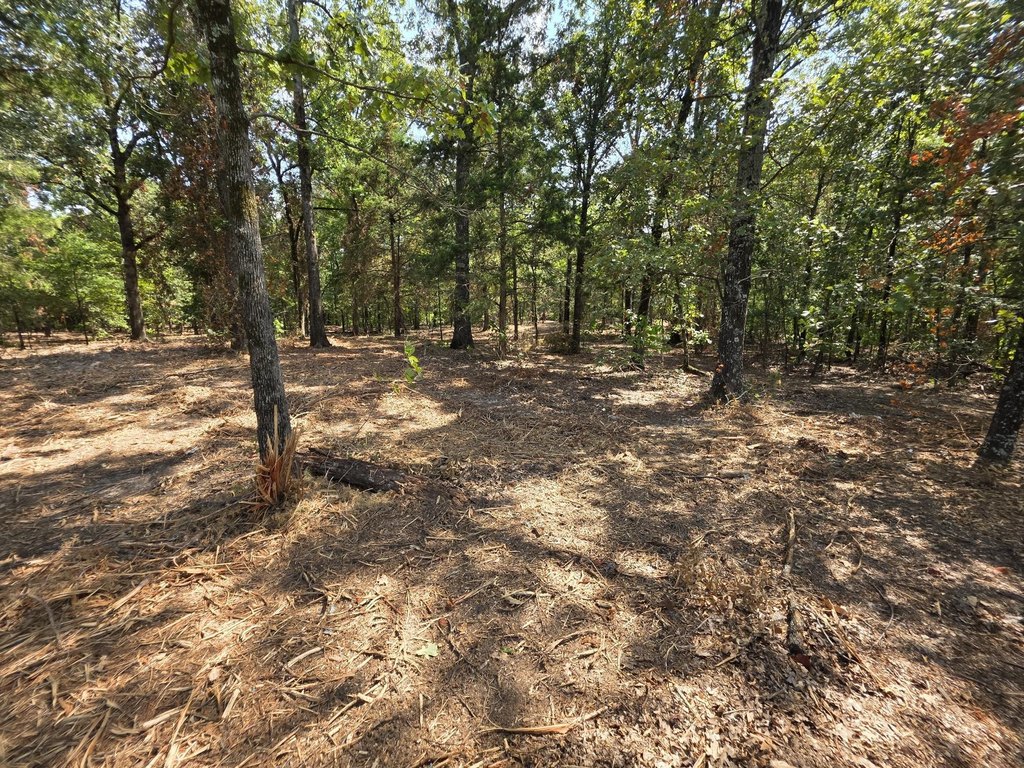 Picture 17