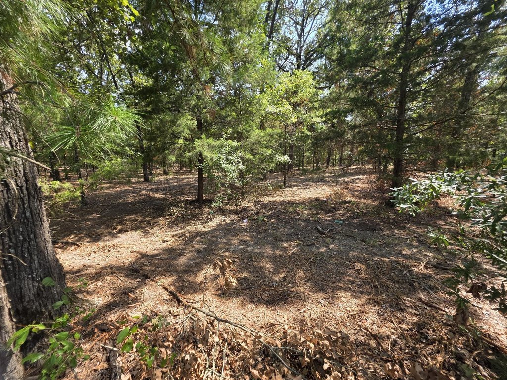 Picture 11