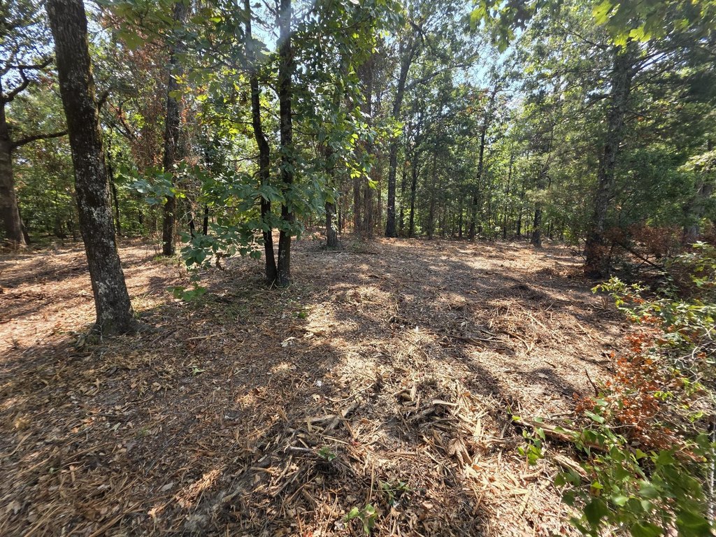 Picture 14