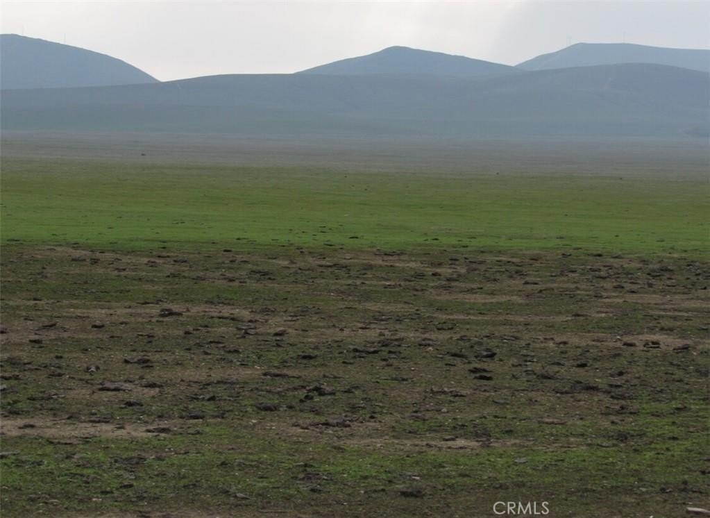 Lost Hills Agricultural Land