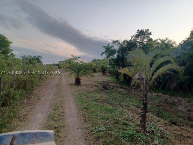 Picture 5