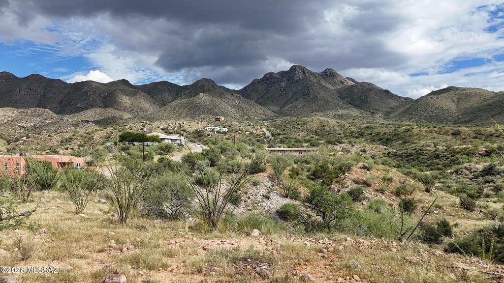 Picture 4
