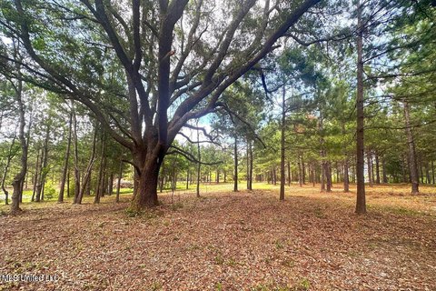 23 Acres Lucedale Land For Sale