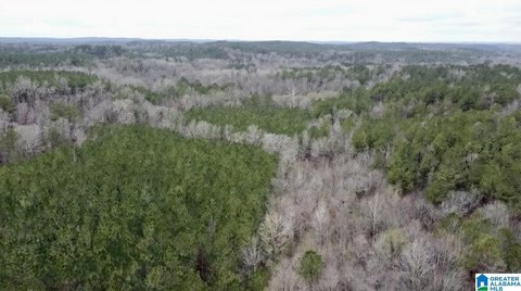 80-Acre Pinson Land Tract