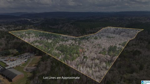 80-Acre Pinson Land Tract