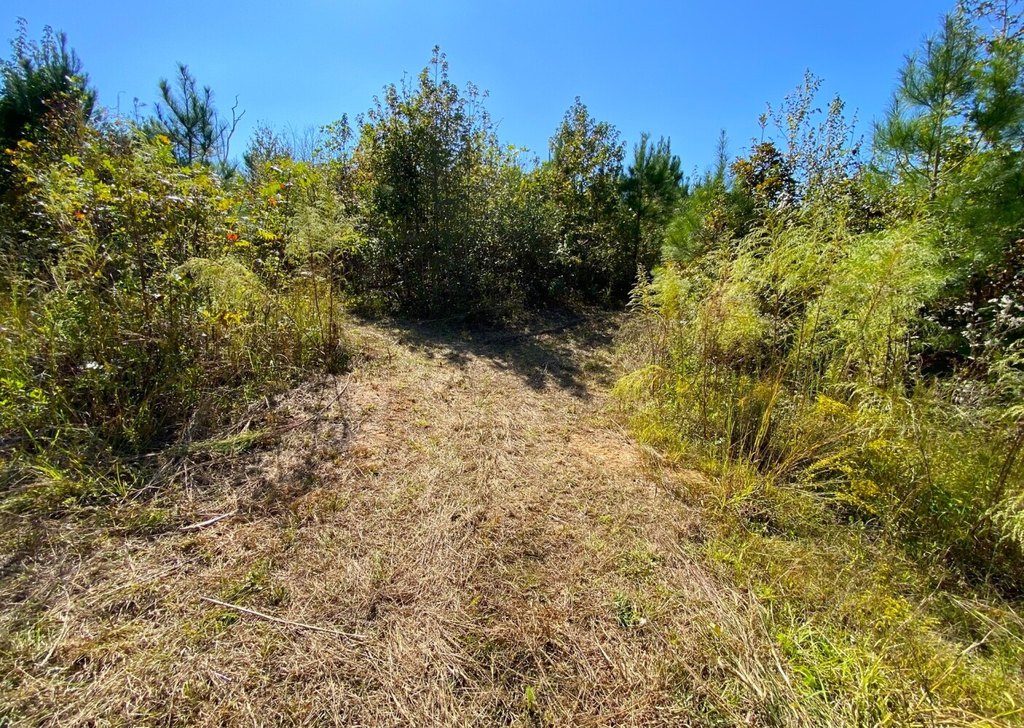 Picture 22