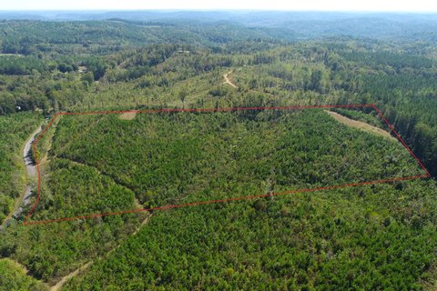 Land, Carbon Hill, AL