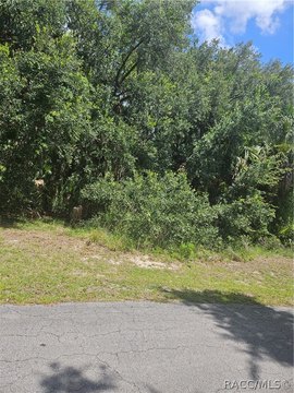 Recreation Land Lot for Sale