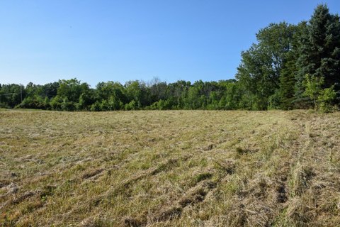 LAND - GRAND RAPIDS, MI
