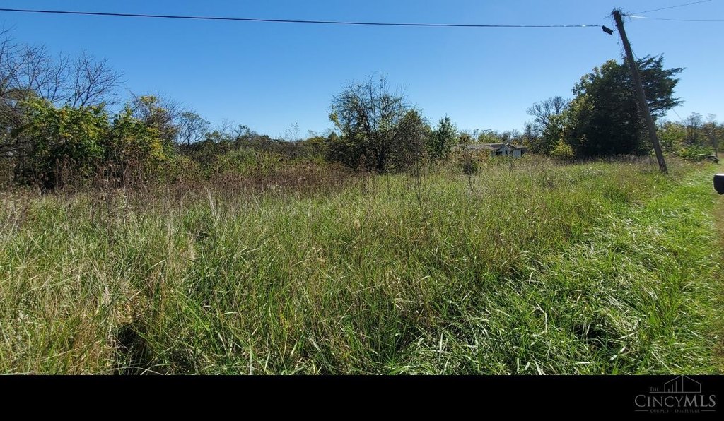 Picture 18