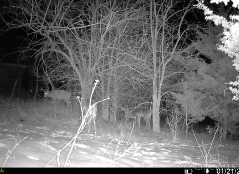 Picture 14