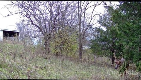 Land, Huntington Twp, OH