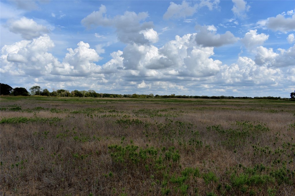 Picture 13