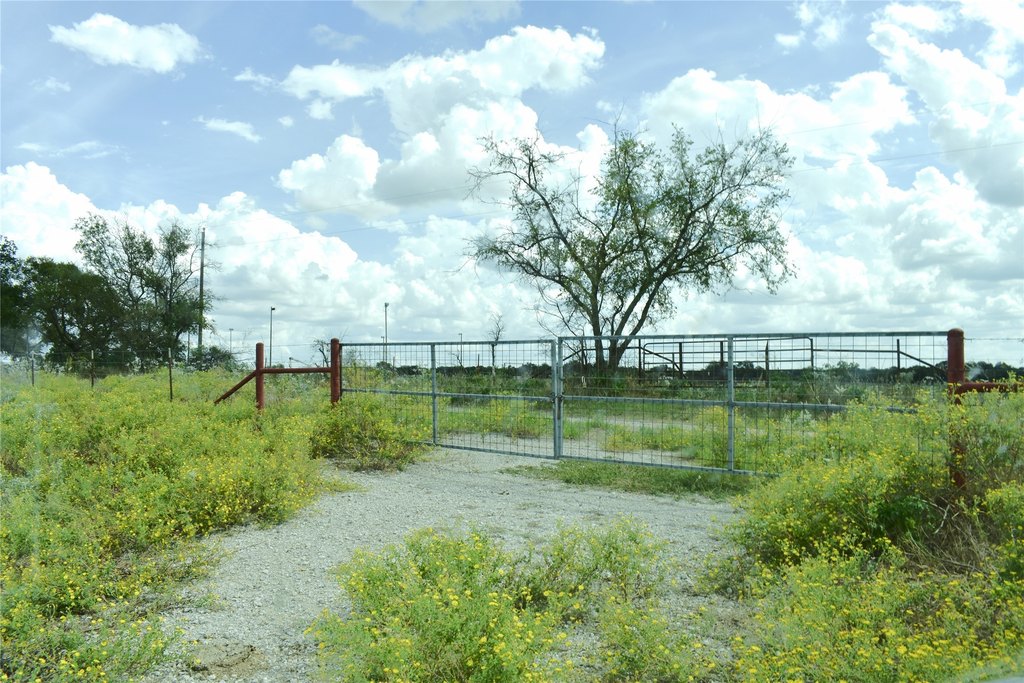 Picture 21
