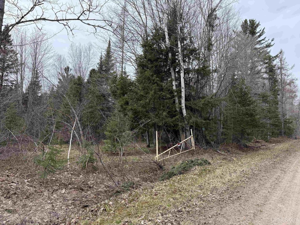 Picture 20