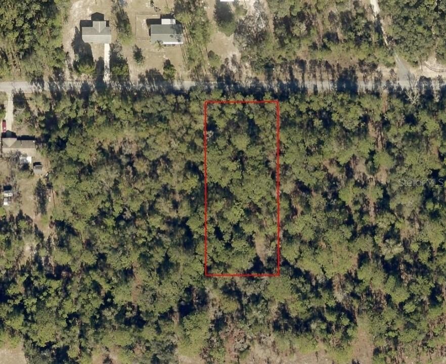 Land Near Rainbow River