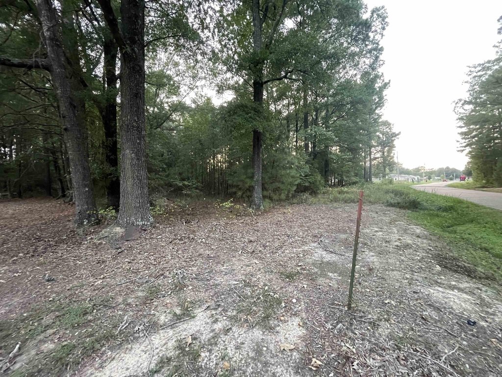 Picture 2