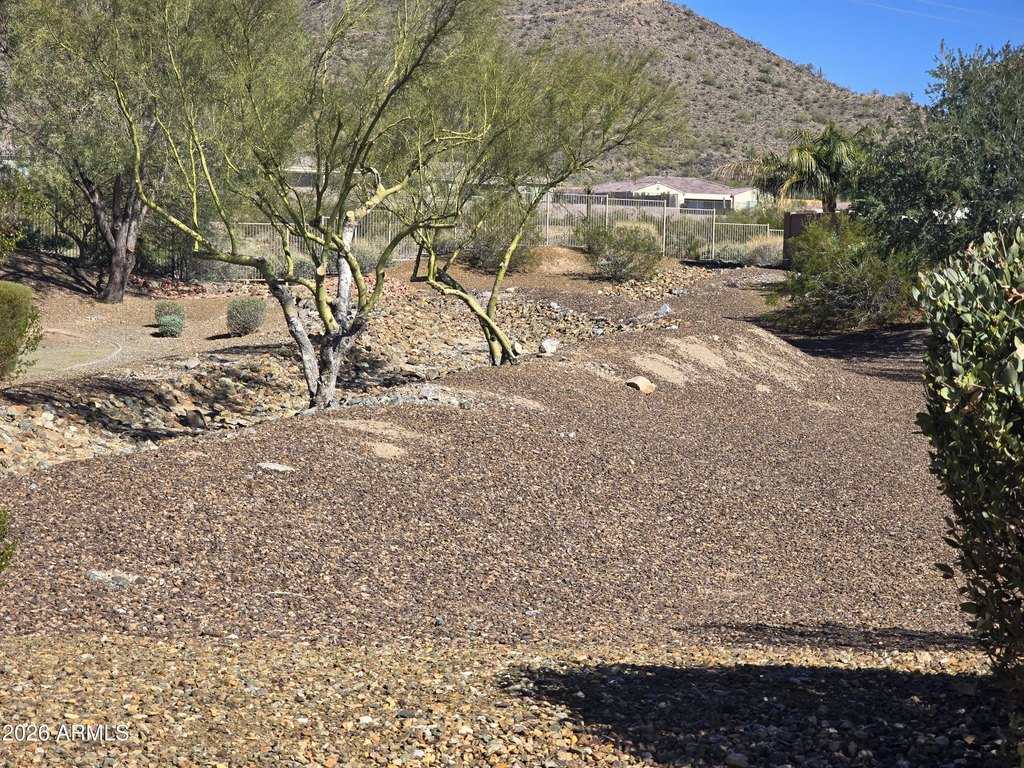 Picture 12
