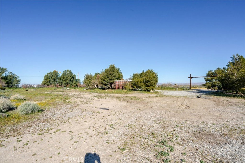 Picture 3