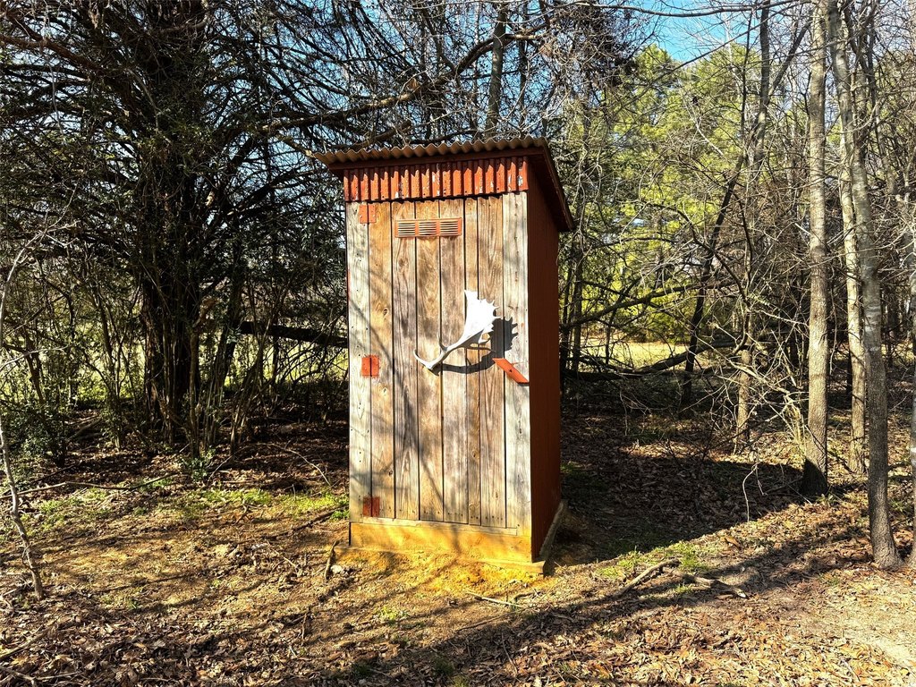 Picture 19