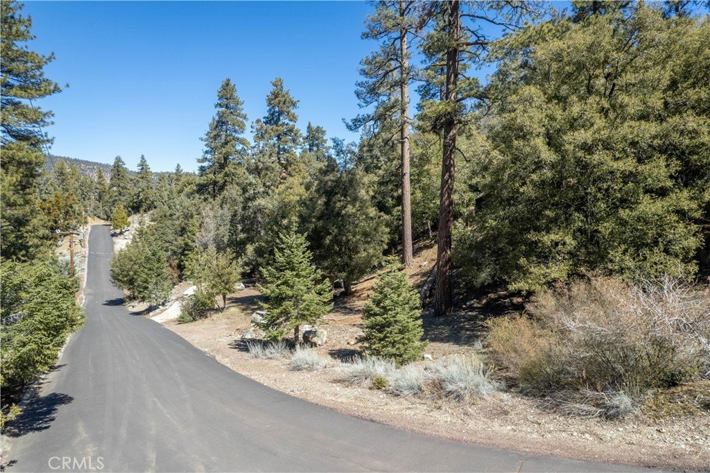 Land with Forest Views
