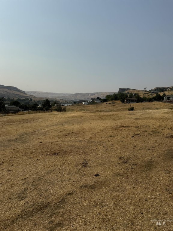 Picture 29