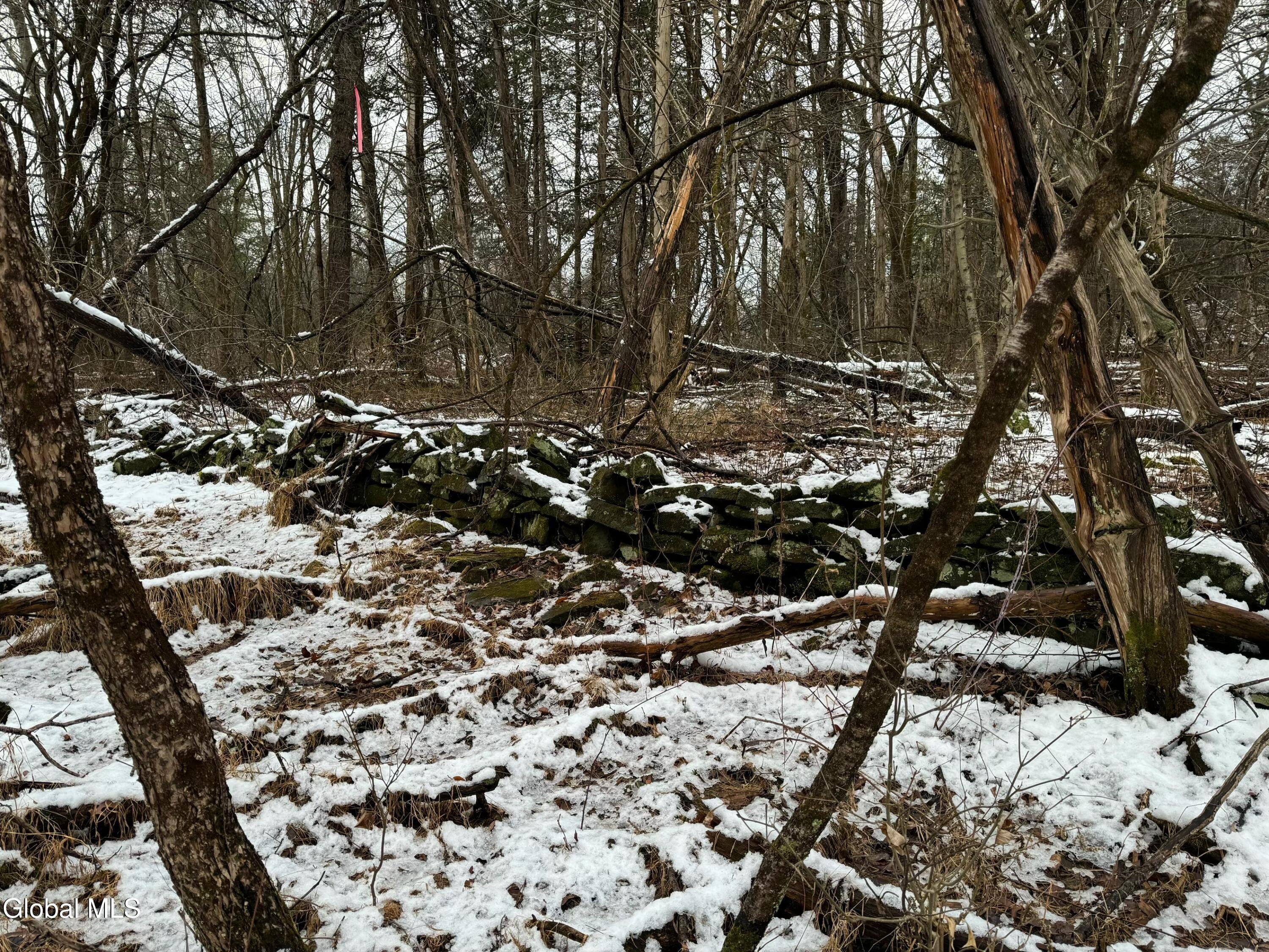 Land in Athens, New York