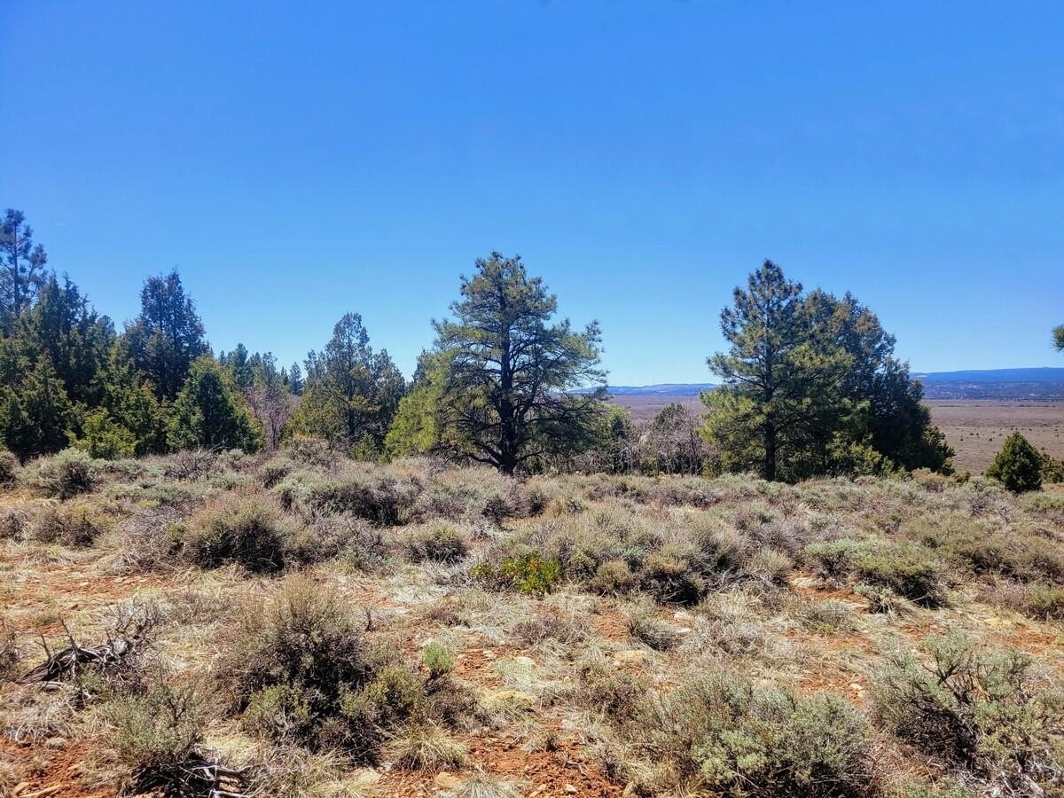 Duck Creek Building Lot