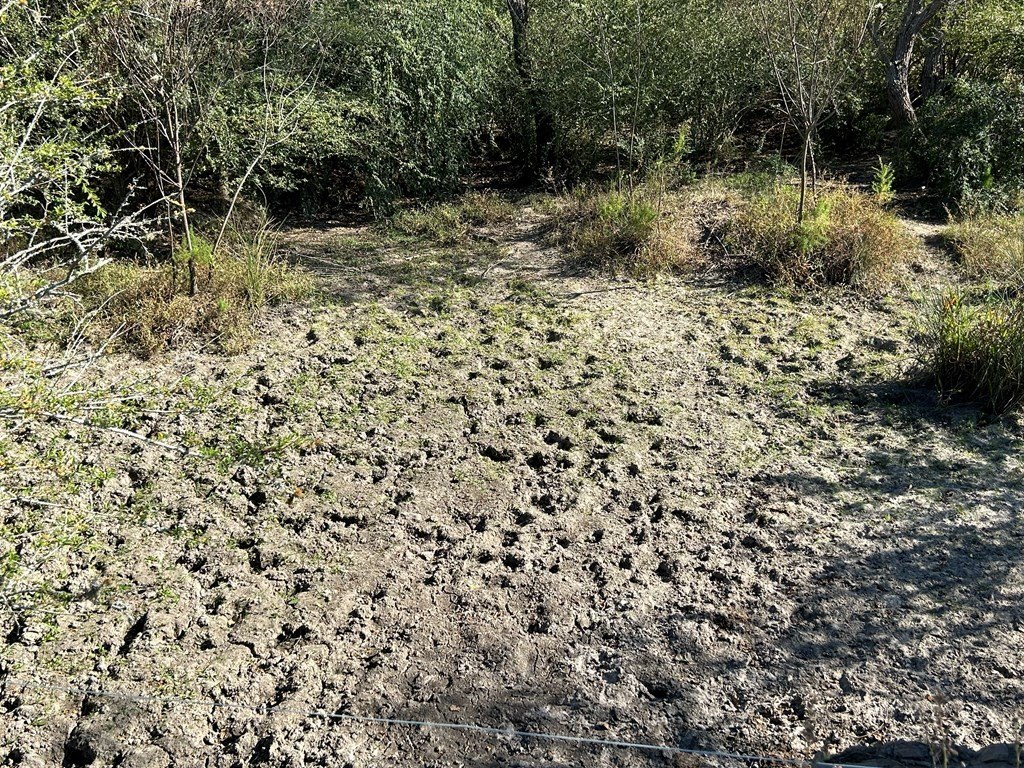 Picture 27