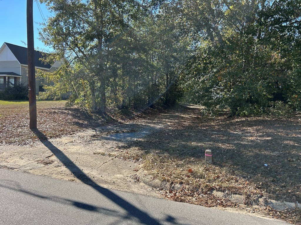 Picture 30