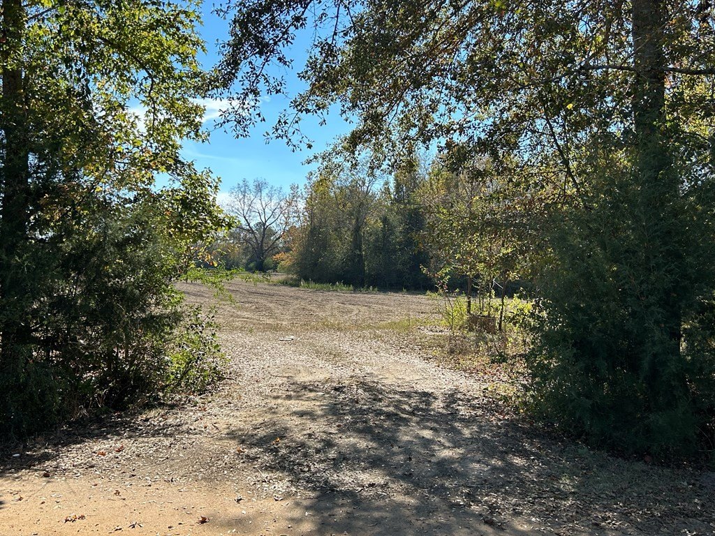Picture 18