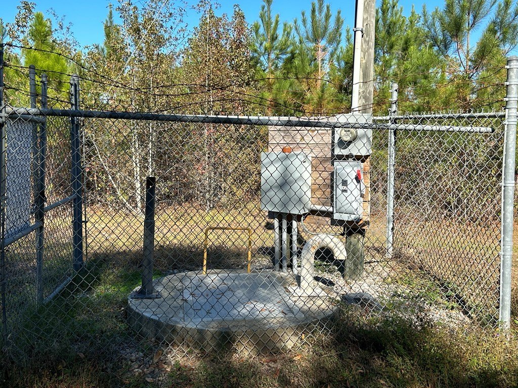 Picture 17