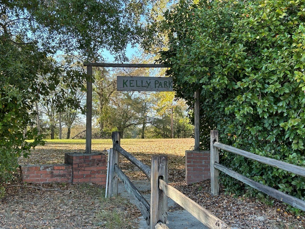 Picture 41