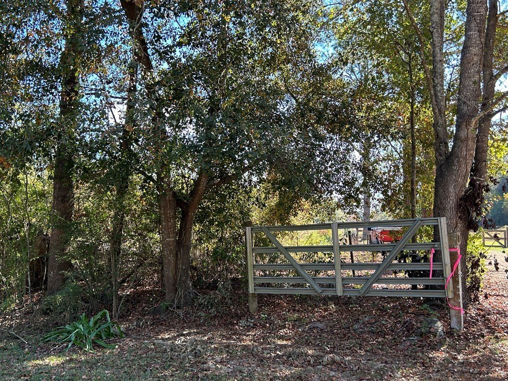 Picture 21