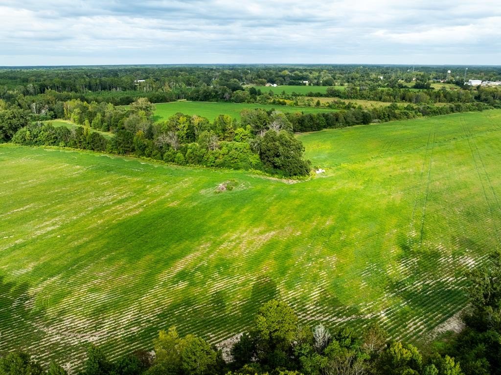 Picture 69