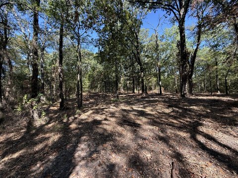 Land, Lone Oak, TX