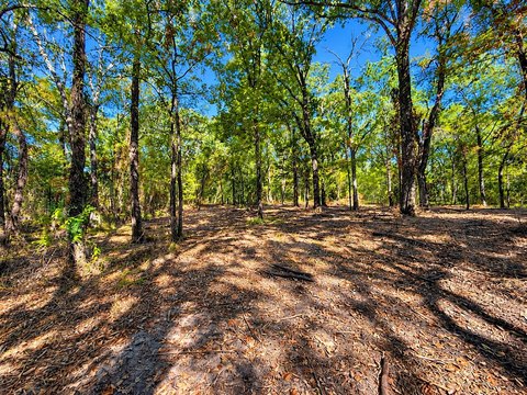 Land, Lone Oak, TX
