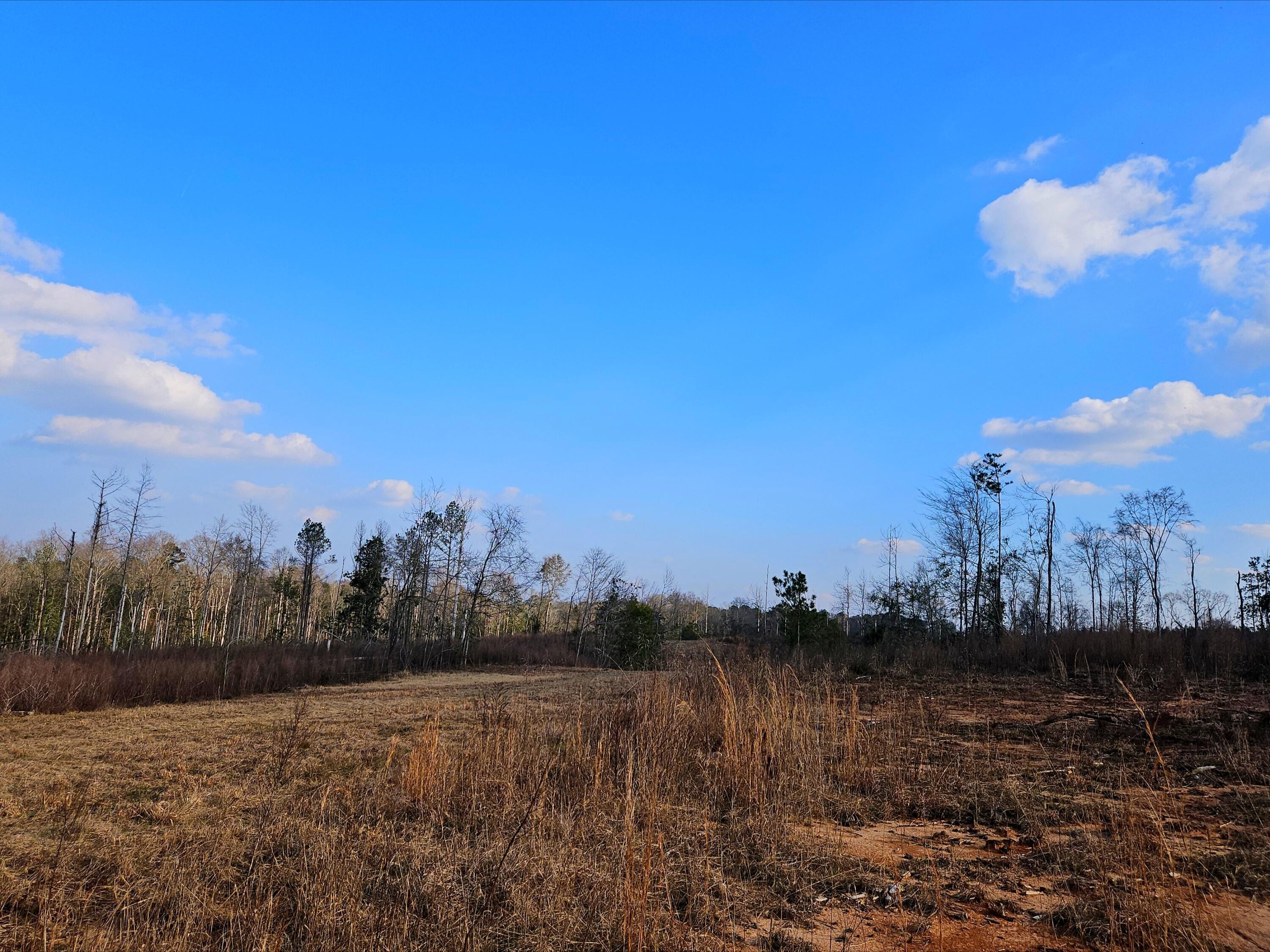 117 Acres on Hwy 35