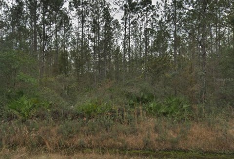 Open Residential Land Lot