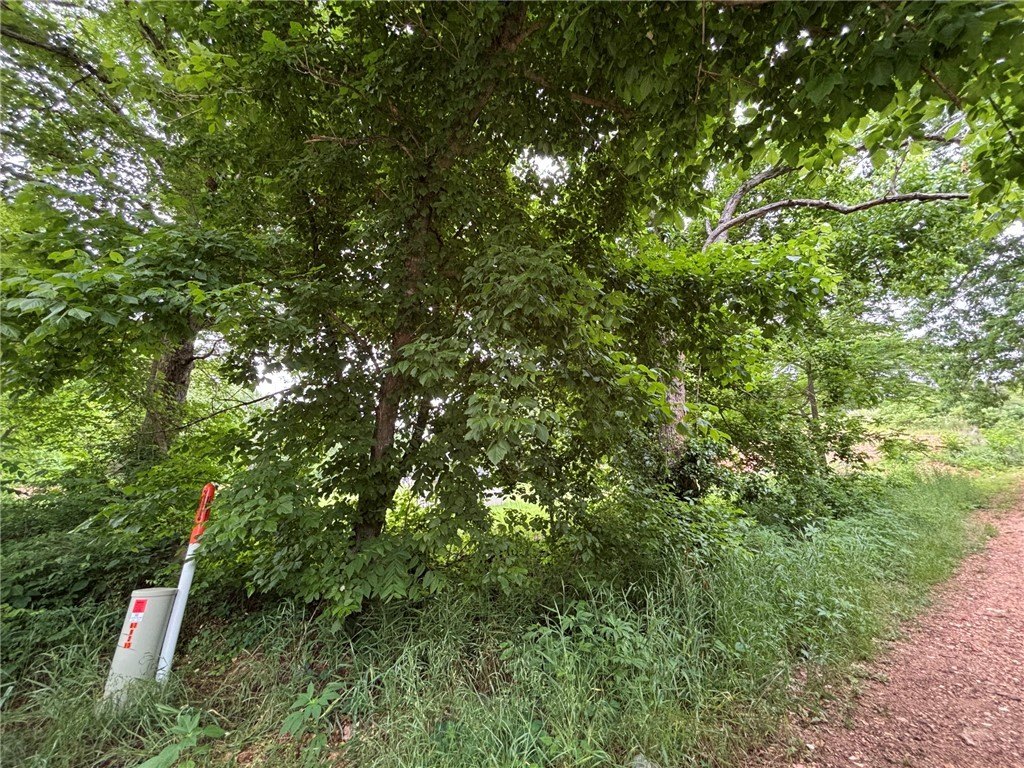 Picture 8