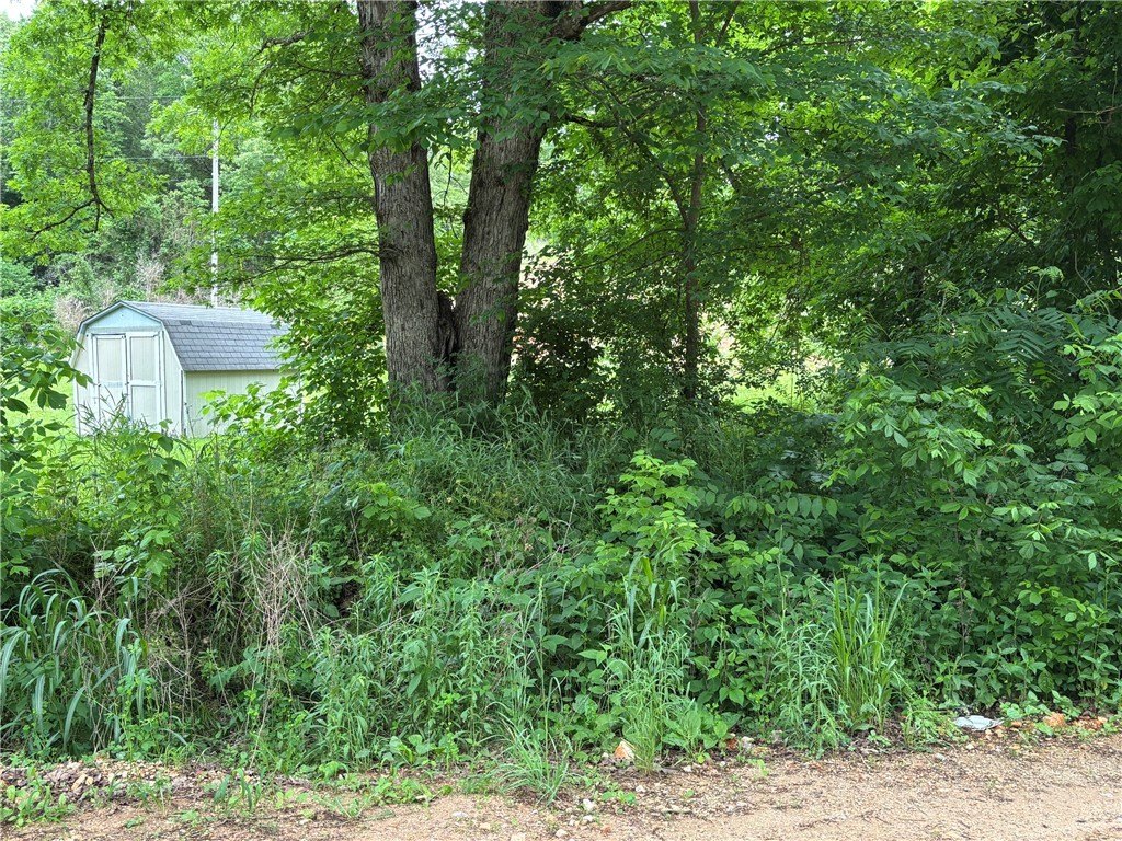 Picture 4