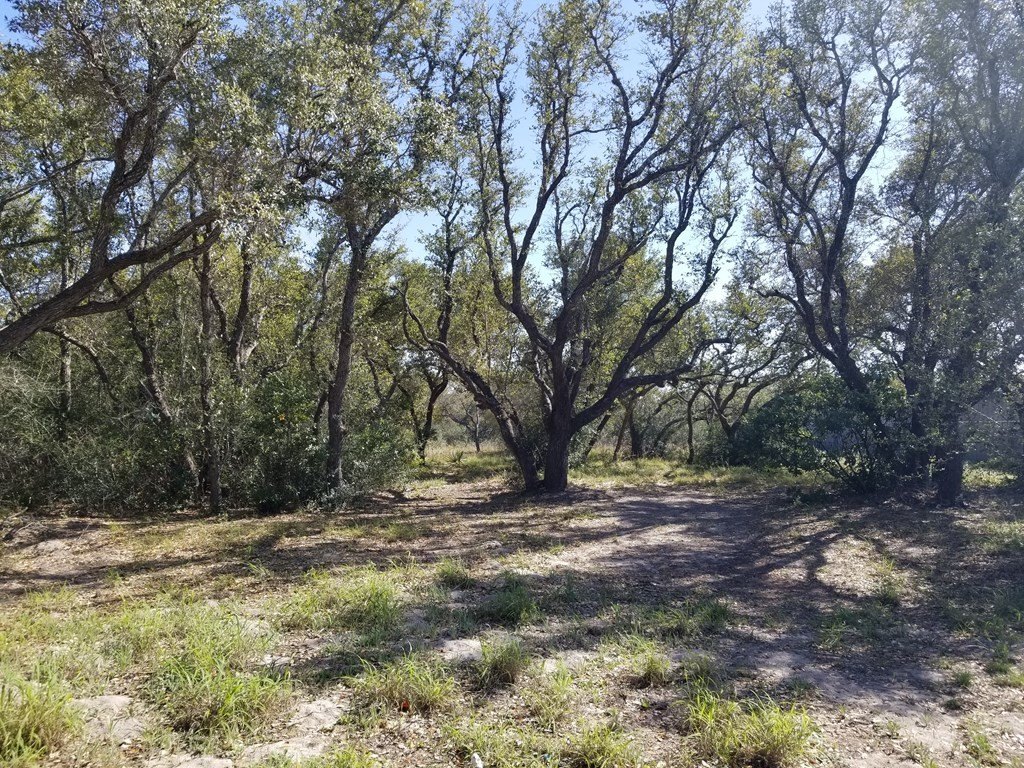 Picture 6