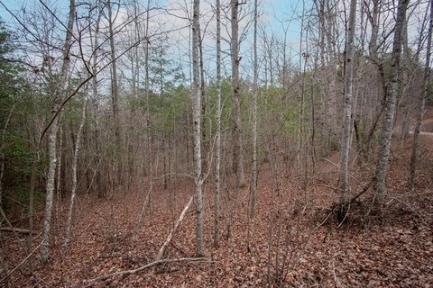 Wooded Land in Murphy, NC